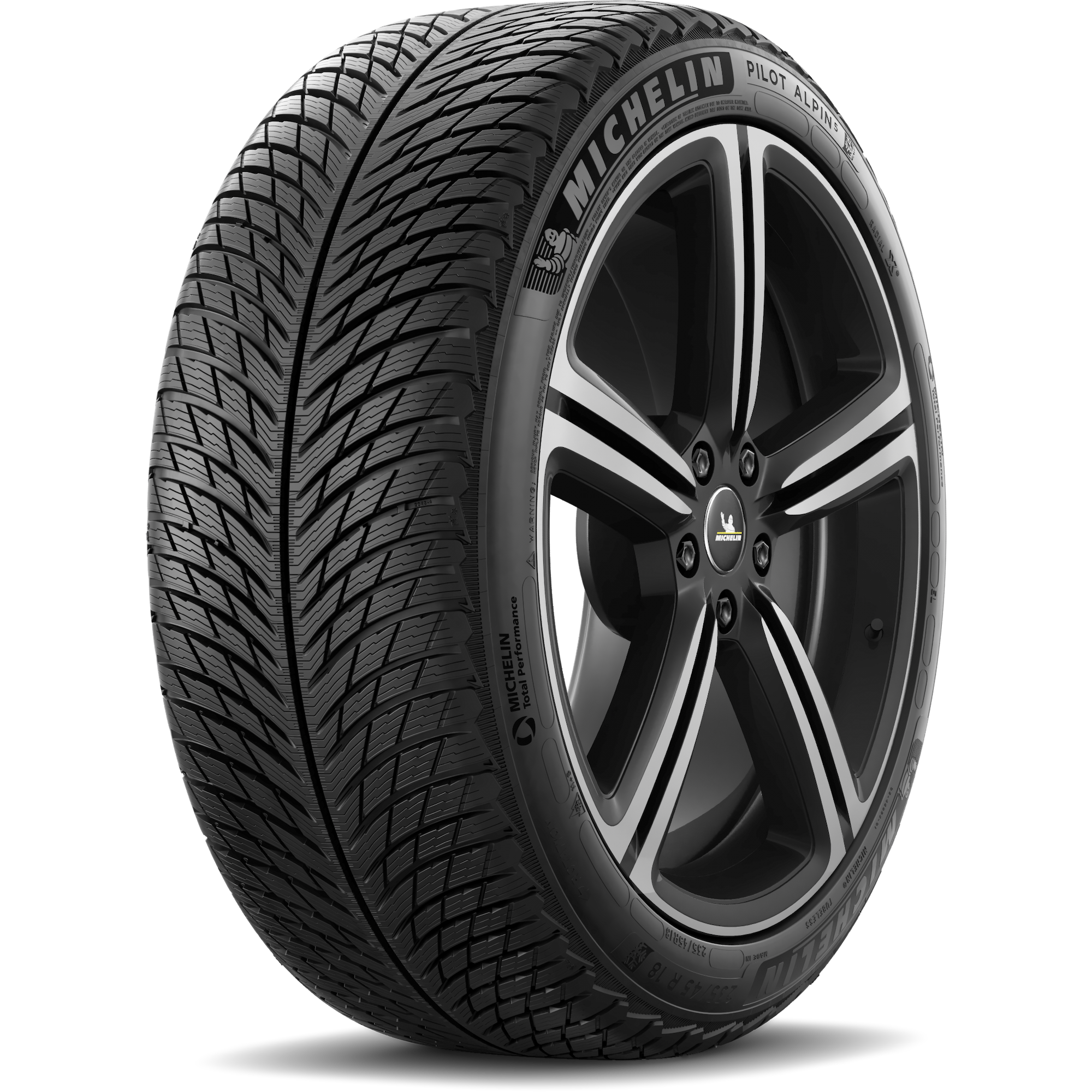 шины MICHELIN PILOT ALPIN 5 RUN FLAT 225/60 R18